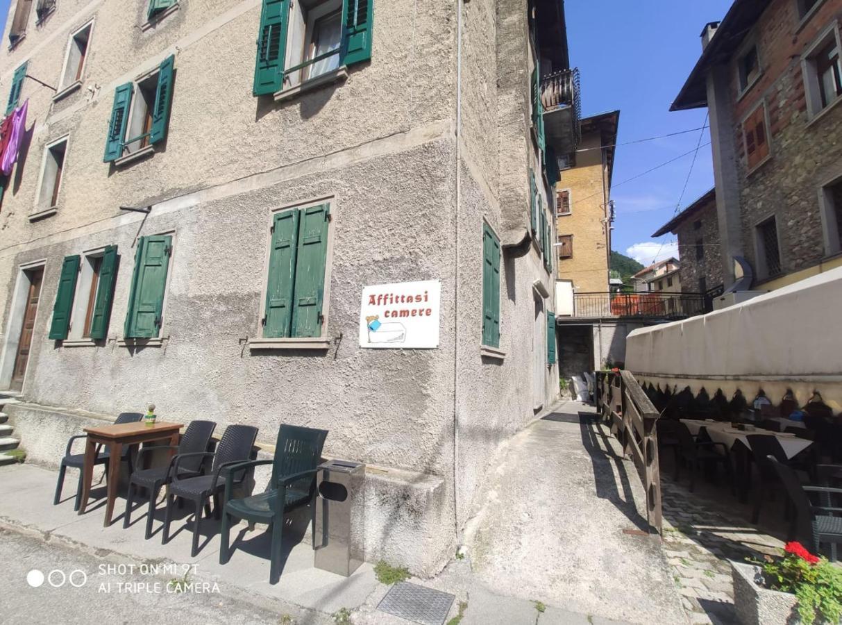 La Favorita Bed and Breakfast Lozzo Cadore Exteriör bild