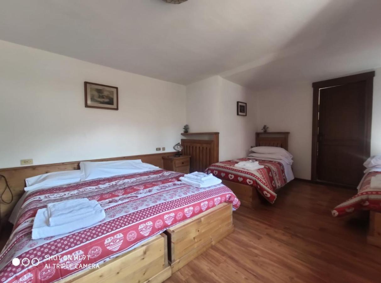 La Favorita Bed and Breakfast Lozzo Cadore Exteriör bild