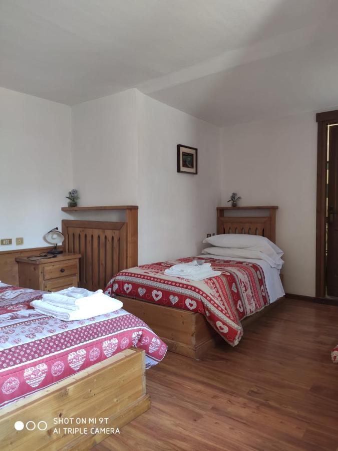 La Favorita Bed and Breakfast Lozzo Cadore Exteriör bild