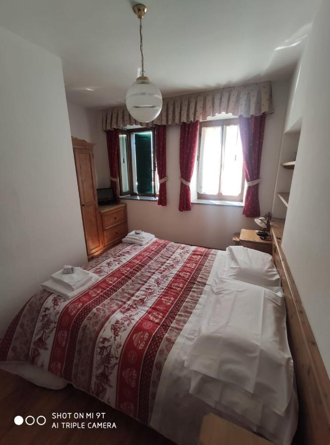 La Favorita Bed and Breakfast Lozzo Cadore Exteriör bild